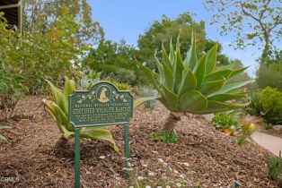 Single Family Residence, 402 Lynn dr, Ventura, CA 93003 - 56