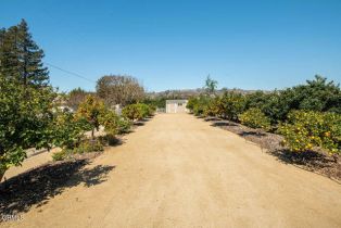 Single Family Residence, 1816 Freeborn way, Camarillo, CA 93012 - 62