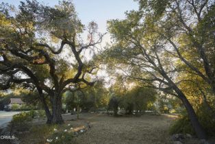 Single Family Residence, 3450 Thacher rd, Ojai, CA 93023 - 18