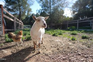 Single Family Residence, 3450 Thacher rd, Ojai, CA 93023 - 20