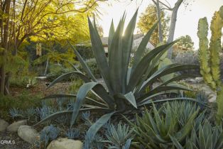 Single Family Residence, 3450 Thacher rd, Ojai, CA 93023 - 26