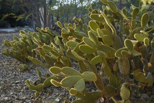 Single Family Residence, 3450 Thacher rd, Ojai, CA 93023 - 29