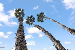 Single Family Residence, 445 Mara ave, Ventura, CA 93004 - 26