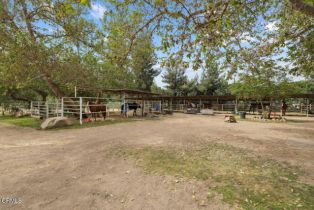 Single Family Residence, 10562 Creek rd, Ojai, CA 93023 - 38