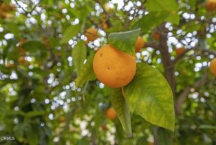 Single Family Residence, 780 Corte Vina, Camarillo, CA 93010 - 50