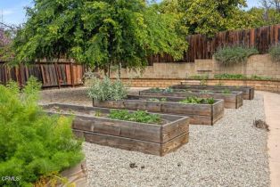 Single Family Residence, 1080 Serenidad pl, Oak View, CA 93022 - 24