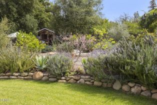 Single Family Residence, 11684 Ventura ave, Ojai, CA 93023 - 35