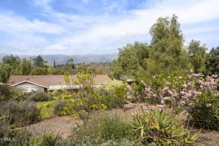 Single Family Residence, 11684 Ventura ave, Ojai, CA 93023 - 37