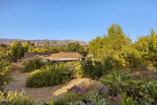 Single Family Residence, 11684 Ventura ave, Ojai, CA 93023 - 46
