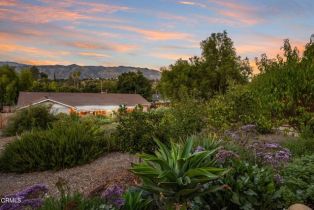 Single Family Residence, 11684 Ventura ave, Ojai, CA 93023 - 58