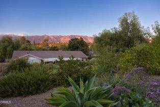 Single Family Residence, 11684 Ventura ave, Ojai, CA 93023 - 59