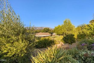Single Family Residence, 11684 Ventura ave, Ojai, CA 93023 - 63