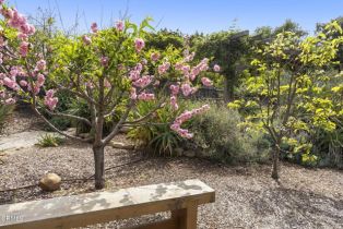 Single Family Residence, 11684 Ventura ave, Ojai, CA 93023 - 66