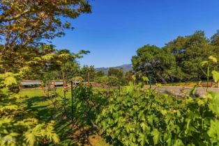 Single Family Residence, 669 Highland dr, Ojai, CA 93023 - 20