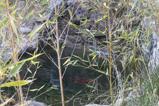 Single Family Residence, 16749 Maricopa hwy, Ojai, CA 93023 - 13