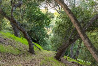 Single Family Residence, 1270 Dove Meadow rd, Solvang, CA 93463 - 32