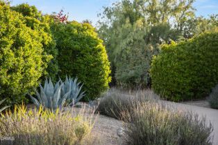 Single Family Residence, 1270 Dove Meadow rd, Solvang, CA 93463 - 37