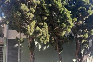 Condominium, 3700 Dean DR, Ventura, CA  Ventura, CA 93003