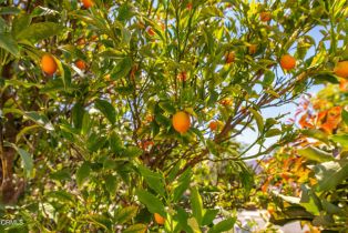 Single Family Residence, 2210 Via Loma, Camarillo, CA 93012 - 51