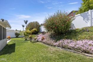 Single Family Residence, 7797 Loma Vista rd, Ventura, CA 93004 - 23