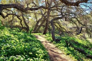 Single Family Residence, 7797 Loma Vista rd, Ventura, CA 93004 - 33