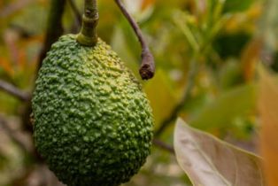 Single Family Residence, 161 Harborview ct, Ventura, CA 93003 - 46