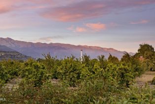 Single Family Residence, 714 Mercer ave, Ojai, CA 93023 - 3