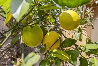 Single Family Residence, 3243 Curt dr, Camarillo, CA 93010 - 34