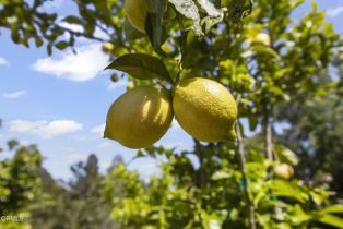 Single Family Residence, 1820 Ramona dr, Camarillo, CA 93010 - 67