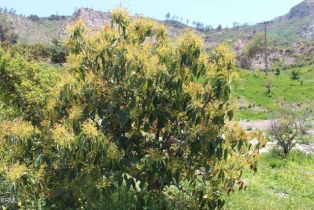 Single Family Residence, 17000 South Mountain rd, Santa Paula, CA 93060 - 11