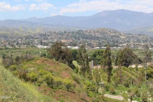 Single Family Residence, 17000 South Mountain rd, Santa Paula, CA 93060 - 8