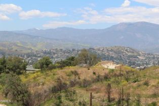 Single Family Residence, 17000 South Mountain rd, Santa Paula, CA 93060 - 9