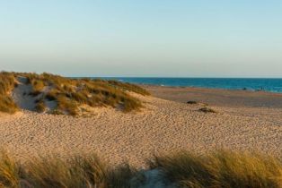 Condominium, 543 E st, Oxnard, CA 93030 - 21