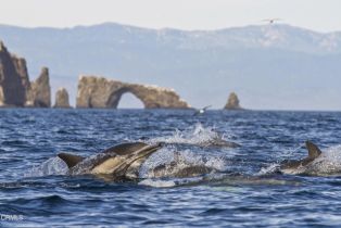 Condominium, 543 E st, Oxnard, CA 93030 - 24