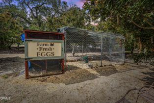 Single Family Residence, 3710 Groves pl, Somis, CA 93066 - 60