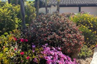 Single Family Residence, 1780 Hillcrest dr, Ventura, CA 93001 - 21