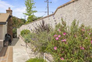 Single Family Residence, 150 Donna st, Oak View, CA 93022 - 42