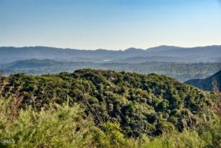 Single Family Residence, 2800 Hermitage rd, Ojai, CA 93023 - 49