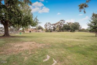 Single Family Residence, 6941 Dove st, Ventura, CA 93003 - 43