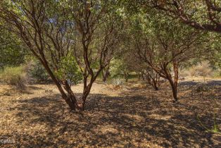 Single Family Residence, 3328 Matilija Canyon rd, Ojai, CA 93023 - 31