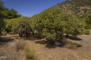 Single Family Residence, 3328 Matilija Canyon rd, Ojai, CA 93023 - 32
