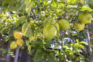 Single Family Residence, 354 Arnett ave, Ventura, CA 93003 - 37