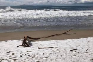 Condominium, 1323 Bayside cir, Oxnard, CA 93035 - 43