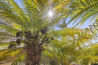 Single Family Residence, 2113 Doral ct, Oxnard, CA 93036 - 58