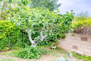 Single Family Residence, 1572 Dover ave, Thousand Oaks, CA 91360 - 28