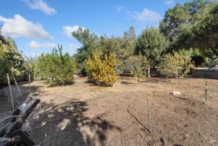 Single Family Residence, 11380 Ventura ave, Ojai, CA 93023 - 40