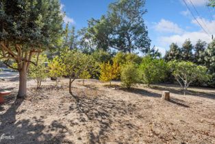 Single Family Residence, 11380 Ventura ave, Ojai, CA 93023 - 43