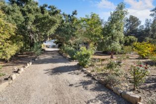 Single Family Residence, 11380 Ventura ave, Ojai, CA 93023 - 47