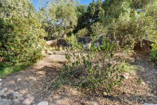 Single Family Residence, 11380 Ventura ave, Ojai, CA 93023 - 63