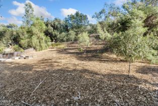 Single Family Residence, 11380 Ventura ave, Ojai, CA 93023 - 65